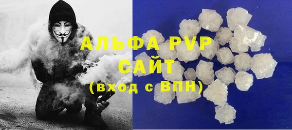 PSILOCYBIN Инта
