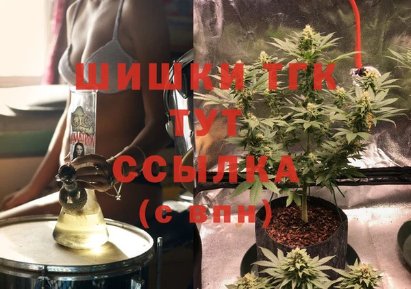 PSILOCYBIN Инта