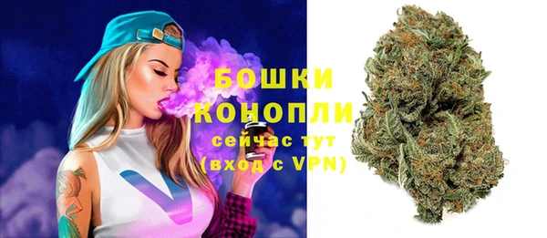 дживик Иннополис