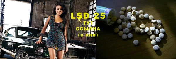 PSILOCYBIN Инта