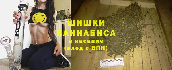 PSILOCYBIN Инта
