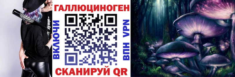 продажа наркотиков  Нефтекамск  Псилоцибиновые грибы GOLDEN TEACHER 